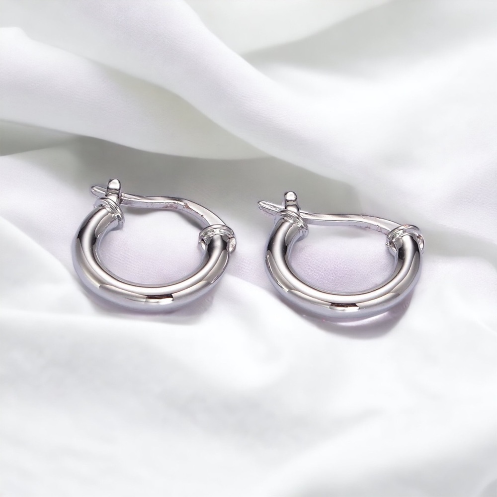 Small hoop earrings​​​​​​​